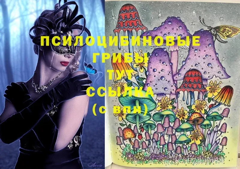 Галлюциногенные грибы Magic Shrooms  Алейск 